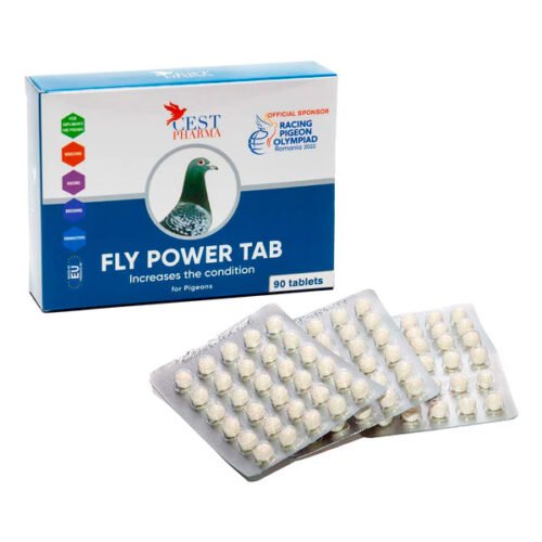 Cest Fly Power Tab – Aumenta el acondicionamiento