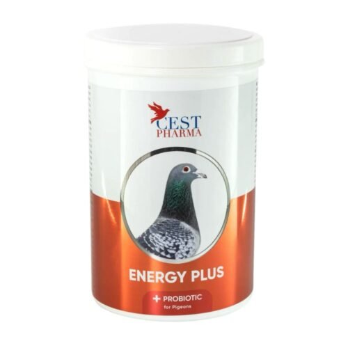 Cest Energy Plus – Essential Carbohydrates