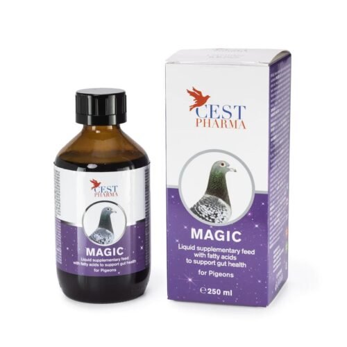 Cest Magic – for Excellent All-Year Health